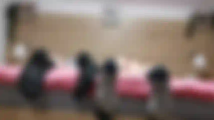 Salope aux pieds cocu - les pieds doubles ignorent que tu es mon mari accro aux pieds cocu. Après avoir fini le sexe avec un vrai homme, vous avez la chance d'être laissée dans la chambre. Comment vous sentez-vous à genoux sur le sol au bout du lit et ignorée ?