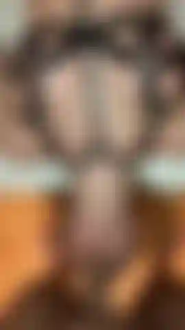 Upside down blowjob -bbc