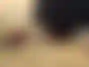 (16) GoldieStar fait de toi sa poule mouillée !!