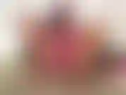 (28) GoldieStar dans cet ensemble de photos de diaporama porte un soutien-gorge rose vif et une culotte sans entrejambe. Pussy play.