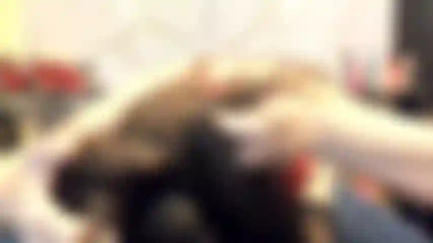 ( Gs.444) GoldieStar se produit dans un spectacle d'or. Roleplay (appelant tous ceux qui sont présents dans la pièce par leur nom...) 9 Minutes. Teddy rouge. Bas noirs, gros seins, squirting, anal, dp, tous godes blancs (20/01/2022).