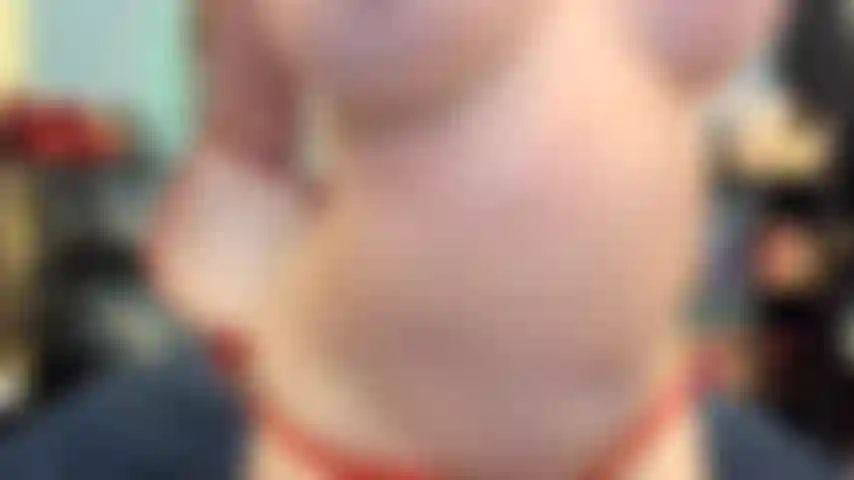 ( Gs.481) GoldieStar se produit dans un spectacle d'or. Roleplay (appeler tous ceux qui sont présents dans la pièce par leur nom...) 8 Minutes. Gilf, chatte poilue, pieds nus, squirting, anal, jouet interactif, dp, godes tous blancs (25/02/2022).