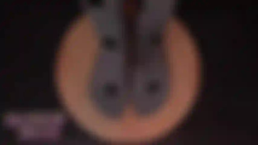 Adoration des pieds asmr pédicure.