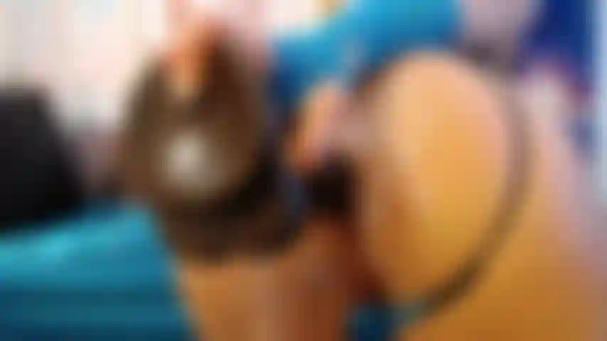 Vue anale rapprochée d'une bite de monstre.