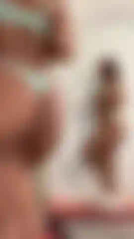 Jeu de chatte en vacances !