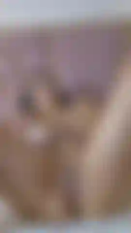 Regardez comme ma chatte est mouillée.