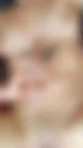 La chaleur me consume, je baise ma chatte et mon cul en même temps fait monter ma chaleur, mais mon corps réclame la chaleur de tes caresses alors que j'atteins le sommet de la stase, rejoins ce moment chaud et humide pour moi, je te promets que tu ne le regretteras pas.