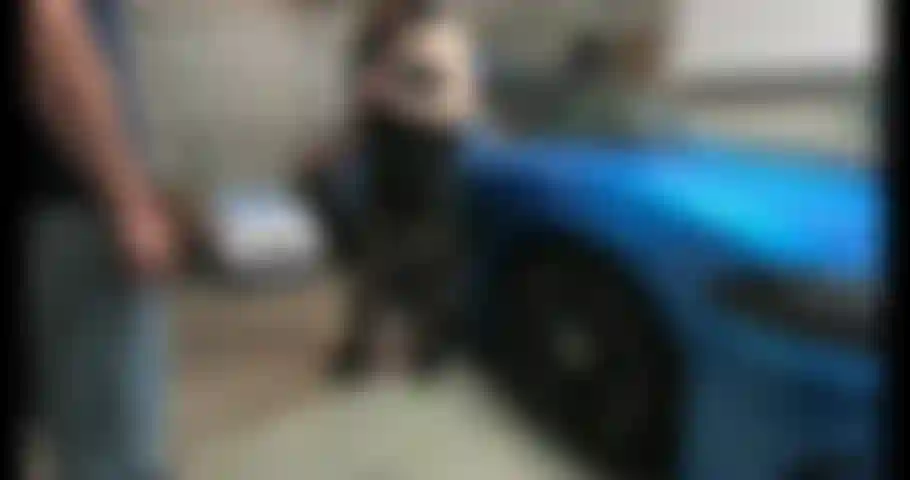 J'ai été tellement excitée pendant cette fermeture due au coronavirus, mais mon mari ne laisse personne venir. Alors j'ai fait entrer mon voisin en douce et il m'a baisé dans le garage pendant que mon mari dormait !