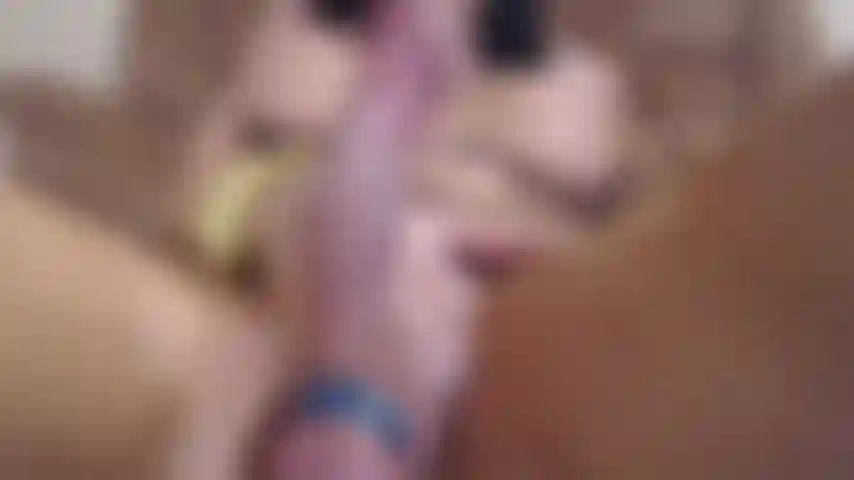 Ma bite, de près et personnelle.