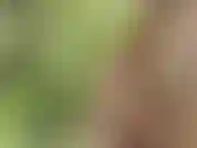 Stroking my hard cock outside