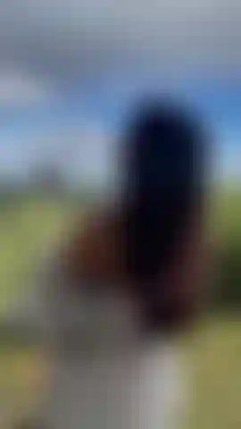 Profitez de la vue !