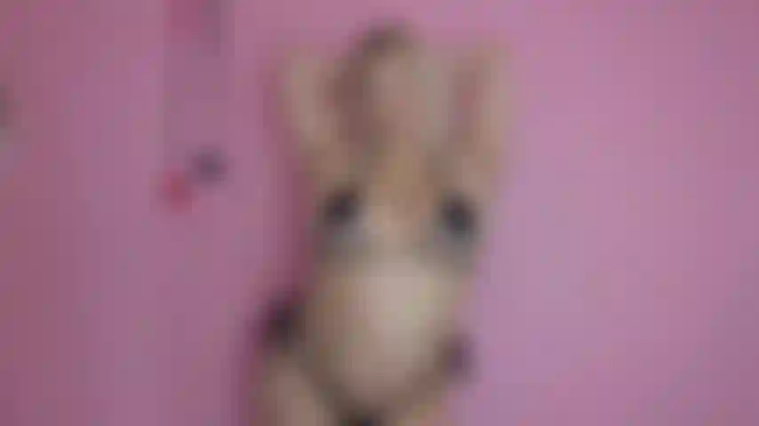 Endoctrinement d'adoration du cul + révélation de la chatte de