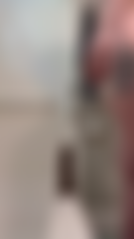 La bbc a étiré cette chatte sensible ;).