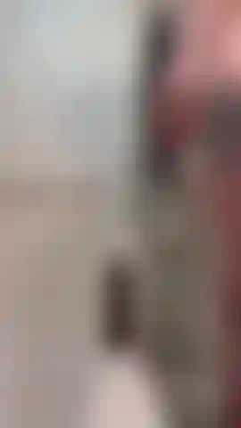 La bbc a étiré cette chatte sensible ;).