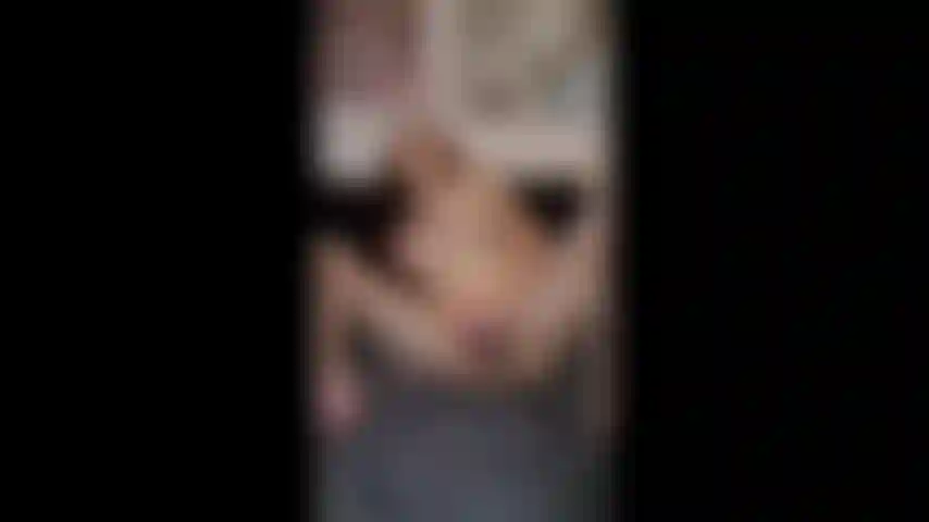 Compilation mouillée, juteuse avec squirt. Jambes écartées, chatte qui pulse, crème et squirt trempant tout. Je n'arrive pas à m'arrêter. Viens me regarder gicler encore et encore. 💦.