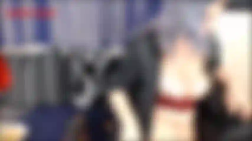 Gagner le covid 19 partie 1-jackie s'auto-isole comme tout le monde. Elle mange trop et prend du poids ! Ce soir, jackie regarde un documentaire policier après une longue nuit...