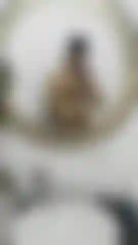 Après une séance photo, de petites choses arrivent.