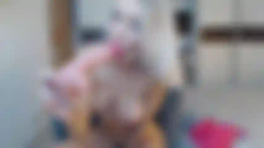 Fellation bâclée et chevauche un gode.