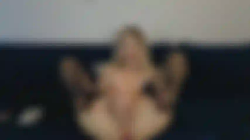 Je baise la chatte avec un gode et des doigts.