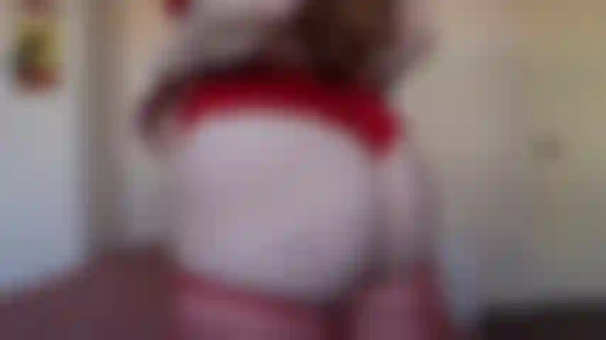 Twerking in my red lace panties and stockings