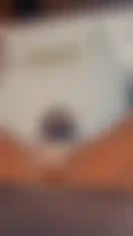 Chatte près de ton visage.