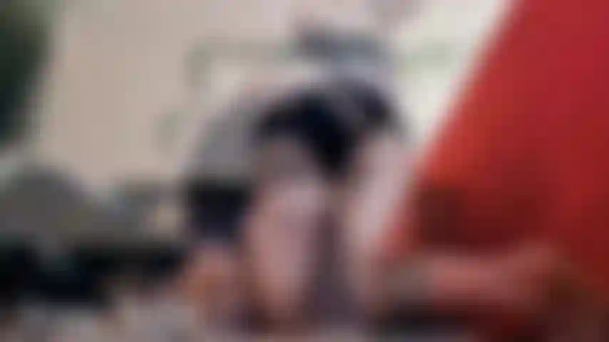 Anal Play, Asshole Winking, Booty Shaking fucking my ass so