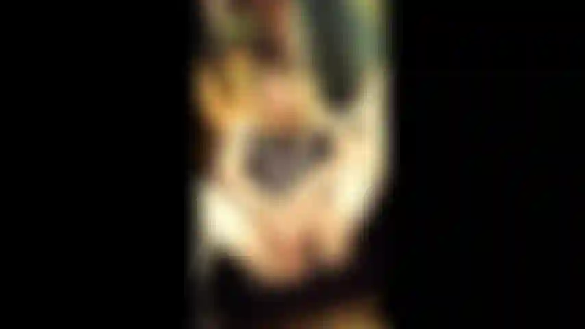 Un peu en train de jouer.