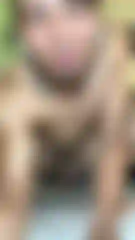 Comme c'est délicieux de toucher et de jouir.