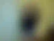 Regarde-toi esclave de la chasteté. Suce le sperme d'un autre homme dans sa culotte et tu ne sais même pas à qui appartient le sperme. Moi non plus. J'ai donné ton bj mensuel à un inconnu à ta place. Tu ne vaux rien.