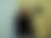 Tu pensais que tu allais baiser une fille ? Tu es grossière et pathétique. Je ne soumettrai jamais une femme à votre bassesse. Tu te fais baiser par un achat avec une grosse bite. Je te laisserai même te frotter le clitoris aujourd'hui en récompense.