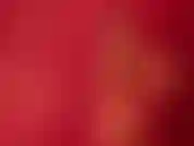 Je veux juste te donner tout ce que tu cherches pour que tu puisses avoir une belle surprise.