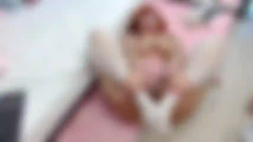 Serviteur/ soumise/ gentille fille.