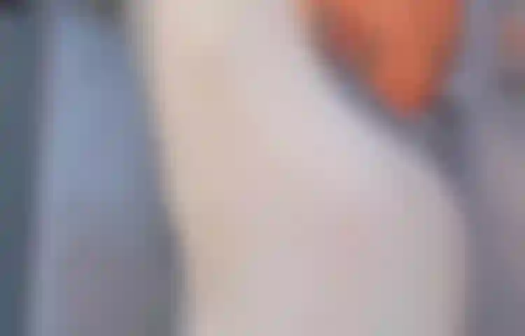 Prends une douche et me frotte les seins et la chatte. Voudriez-vous participer à ce long bain avec moi ?