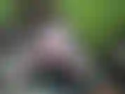 Teaser coup dans l'aire de jeu réaménagée ;)