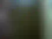 Je me rase et me douche.