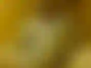 Je me masturbe à nouveau.