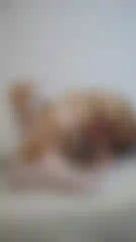 Plus de baise en slowmo.