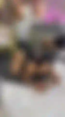 you will enjoy this and more...