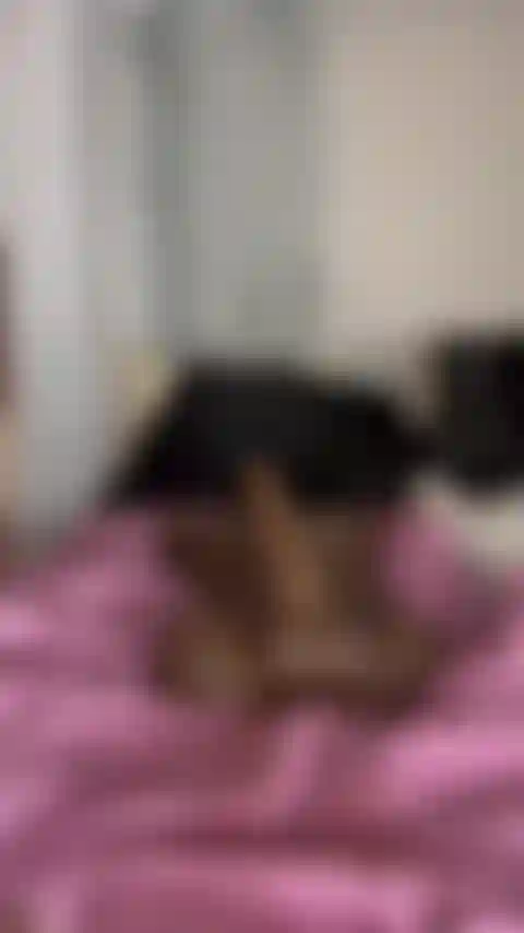 Kylas a un butin à bulles huilé qui rebondit sur une bite de 10 pouces.