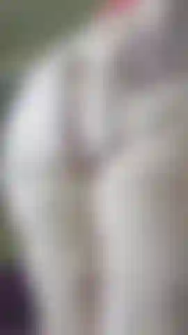 Dildo ride in doggy, watch my huge 61" ass jiggle and shake before I bounce on a dildo in Doggy position, my ass flexing and rattling.