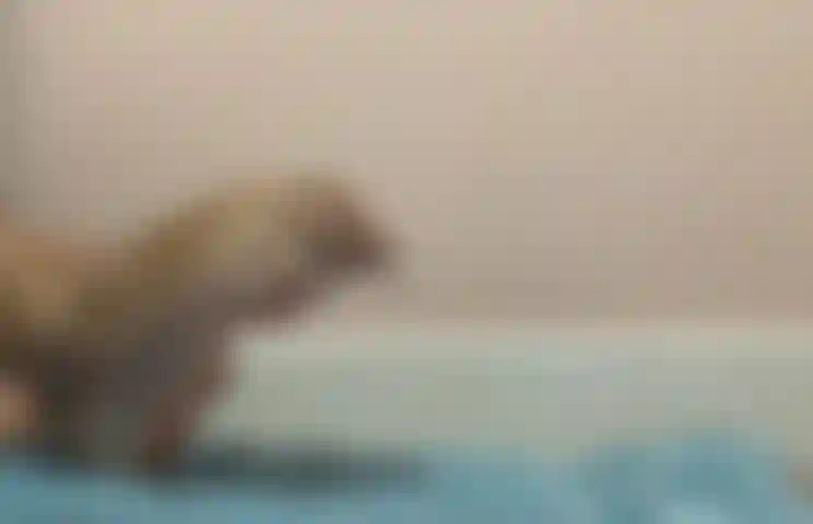 Toe wiggle