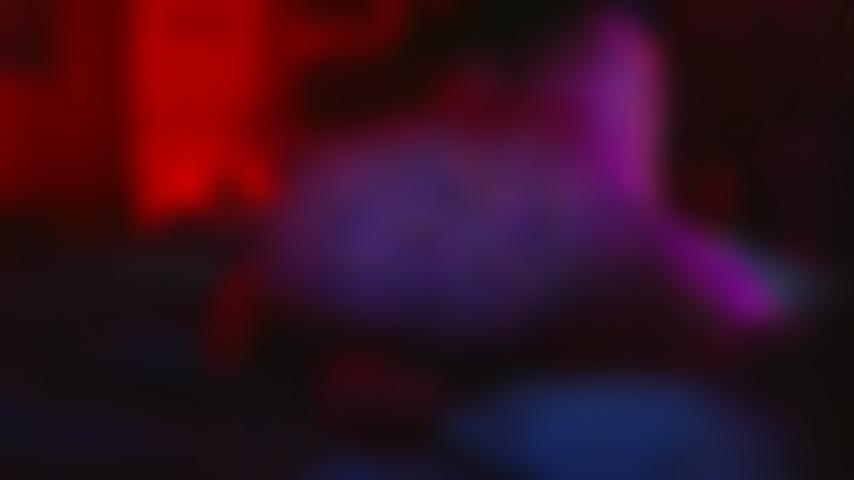 Je twerk sur mon gros jet.