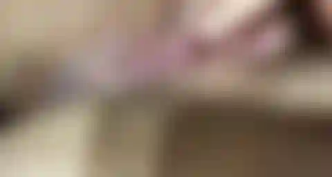 Tarte à la crème à la chatte poilue.