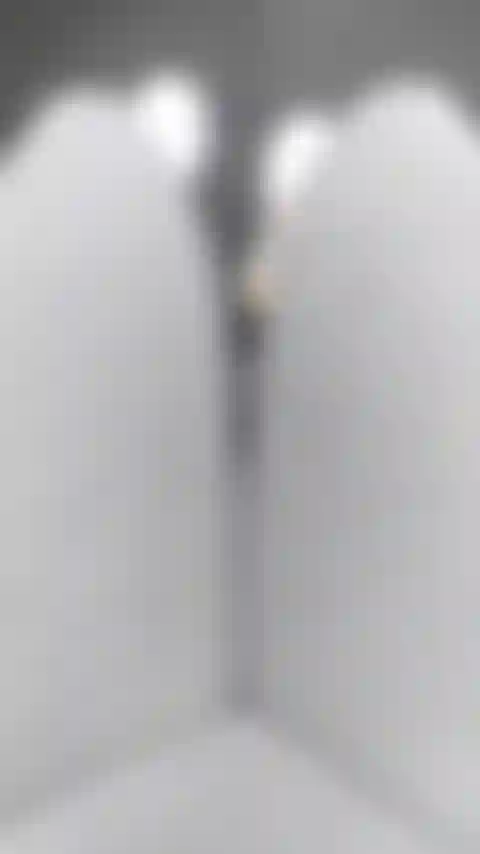 Une machine à rallonger les jambes des collants gris non nue à la salle de sport.