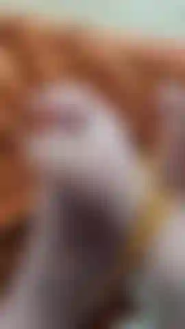 Size 3. Creamed up and rubbed intensely