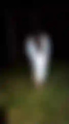 Montre un sein dans la forêt.