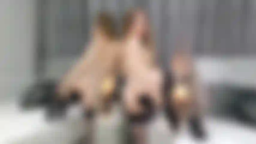 Queue de renard et chatte jouant avec un gode.