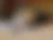 Maid luna is having fun humping the pillows with her juicy pussy and showing off her bouncy ass / domestique luna frotte sa chatte bien mouille sur les oreillers en nous montrant son joli cul rebondi.