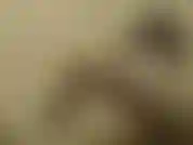 Maid luna caresses, fingers and assfucks herself with her rubber glove and cums twice! / Domestique luna se caresse, se doigte et s'encule l'aide de son gant en caoutchouc, jusqu' avoir 2 orgasmes!