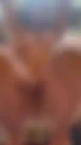 “I’m not wearing anything… but I have a thousand ways to make you lose control.”